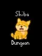 Shibadungeon