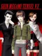 Shin Megami Tensei VX