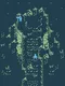 Shoal