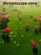 Shroomscape Zone
