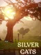 Silver Cats