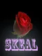 Skeal