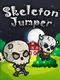 Skeleton Jumper