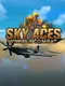 Sky Aces: WWII Air Combat