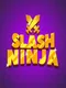 Slash Ninja