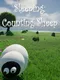 Sleeping: Counting Sheep