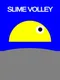 Slime Volley