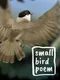 Small Bird Poem