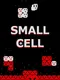 Small Cell