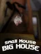 Small Mouse Big House