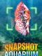 Snapshot Aquarium