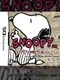 Snoopy DS: Let's Go Meet Snoopy and His Friends!