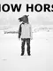 Snow Horse