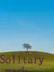 Solitary Mark