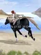 Sound of Horses