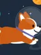 Space Corgi