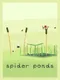 Spider Ponds