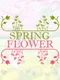 Spring Flower