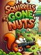 Squirrels Gone Nuts