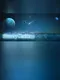 Starry Makino