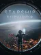 Starship Survivor