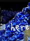 Still Here