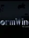 Stormwinds: The Lost Campaigns