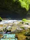Strange Adventures