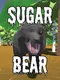 Sugar Bear