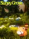 Sunny Grove