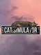 Super Cat Simulator