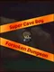 Super Cave Boy: Forsaken Dungeon