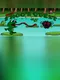 Super Frog's Quest