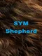 Sym Shepherd