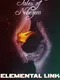 Tales of Nebezem: Elemental Link