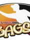 Target Toss Pro: Bags
