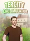 Tercity Life Simulator