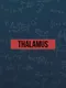 Thalamus
