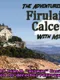 The Adventures of Firulais & Calcetines