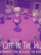 The Cat in the Hijab