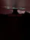 The Final Days: Eternal Night
