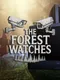 The Forest Watches