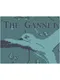 The Gannet