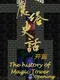 The History of Magic Tower: Opening