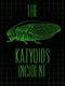 The Katydids Incident