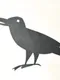 The Little Match Girl and Her Friend, the Crow