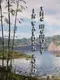 The Memory In Walden Pond