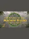 The Mystery of the Mayan Ruins