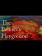 The Painter's Playground