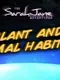 The Sarah Jane Adventures: Plant and Animal Habitats